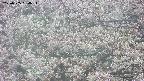 takano4-20250505064055.jpg