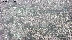 takano4-20250505065056.jpg