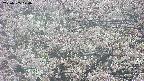 takano4-20250505070056.jpg