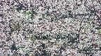 takano4-20250505074056.jpg