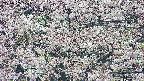 takano4-20250505075057.jpg