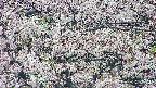 takano4-20250505081057.jpg