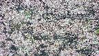 takano4-20250505082057.jpg
