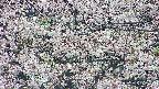 takano4-20250505083057.jpg