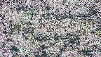 takano4-20250505085056.jpg