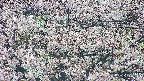 takano4-20250505090057.jpg