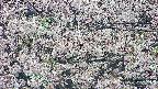 takano4-20250505091058.jpg