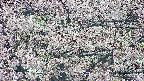 takano4-20250505092056.jpg
