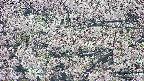 takano4-20250505095056.jpg
