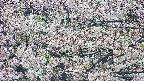 takano4-20250505100057.jpg