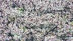takano4-20250505101055.jpg