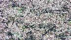 takano4-20250505102056.jpg