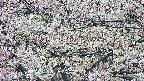 takano4-20250505105058.jpg