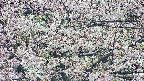 takano4-20250505110059.jpg