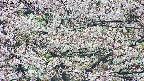 takano4-20250505111059.jpg