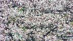 takano4-20250505113100.jpg