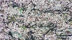 takano4-20250505115059.jpg