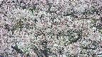 takano4-20250505130057.jpg