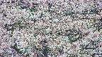 takano4-20250505131059.jpg