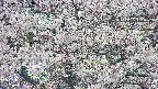 takano4-20250505133057.jpg