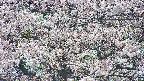 takano4-20250505134059.jpg