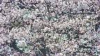 takano4-20250505135058.jpg