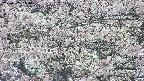 takano4-20250505140058.jpg