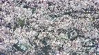 takano4-20250505141059.jpg