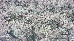 takano4-20250505142057.jpg