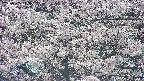 takano4-20250505143056.jpg