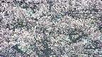 takano4-20250505145058.jpg