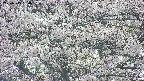 takano4-20250505150058.jpg