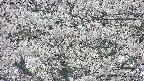 takano4-20250505151057.jpg
