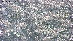 takano4-20250505160058.jpg