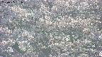 takano4-20250505161057.jpg