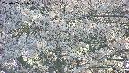 takano4-20250505171058.jpg