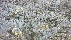 takano4-20250505181056.jpg
