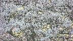 takano4-20250505182058.jpg