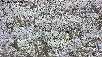 takano4-20250505183056.jpg