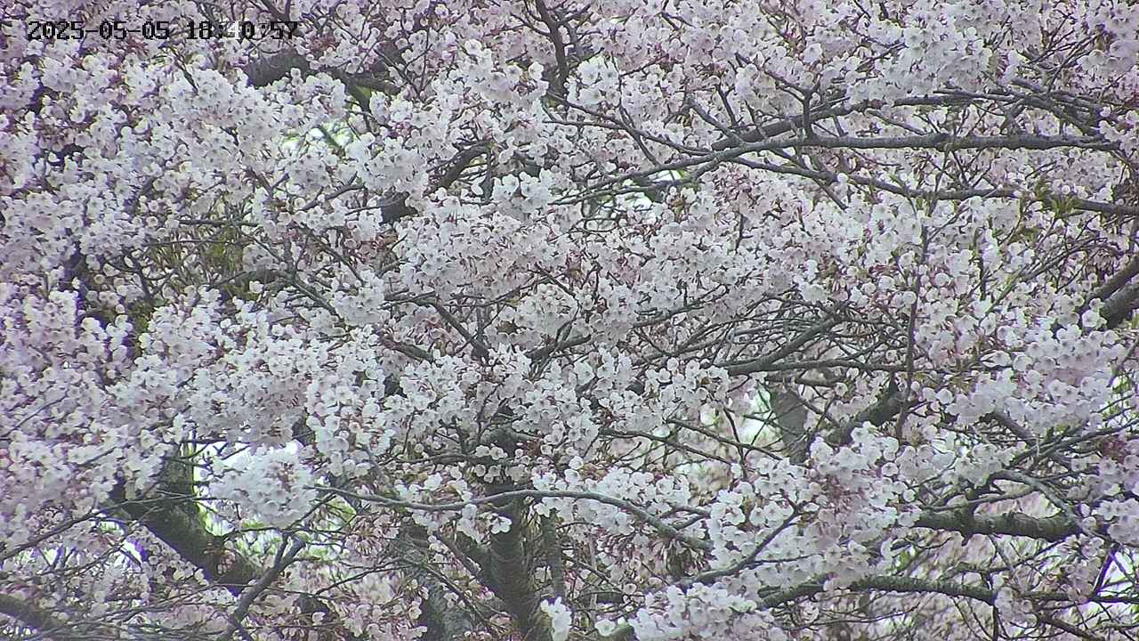 takano4-20250505184059.jpg