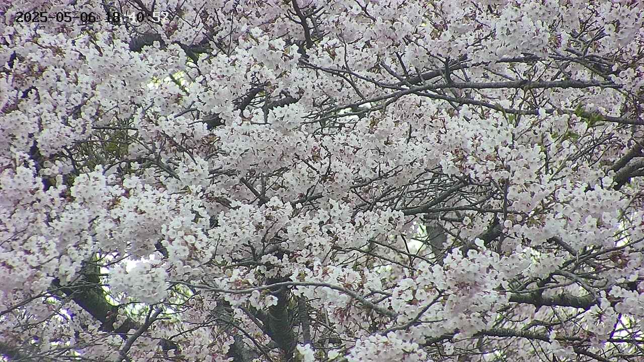 takano4-20250506184058.jpg
