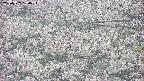 takano4-20250507050056.jpg