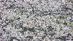 takano4-20250507052057.jpg