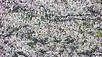takano4-20250507053055.jpg