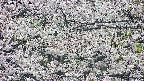 takano4-20250507054056.jpg