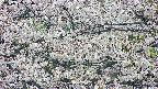 takano4-20250507060056.jpg