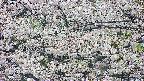 takano4-20250507061059.jpg