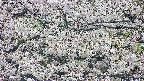 takano4-20250507062059.jpg