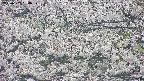takano4-20250507064058.jpg