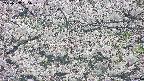 takano4-20250507065058.jpg